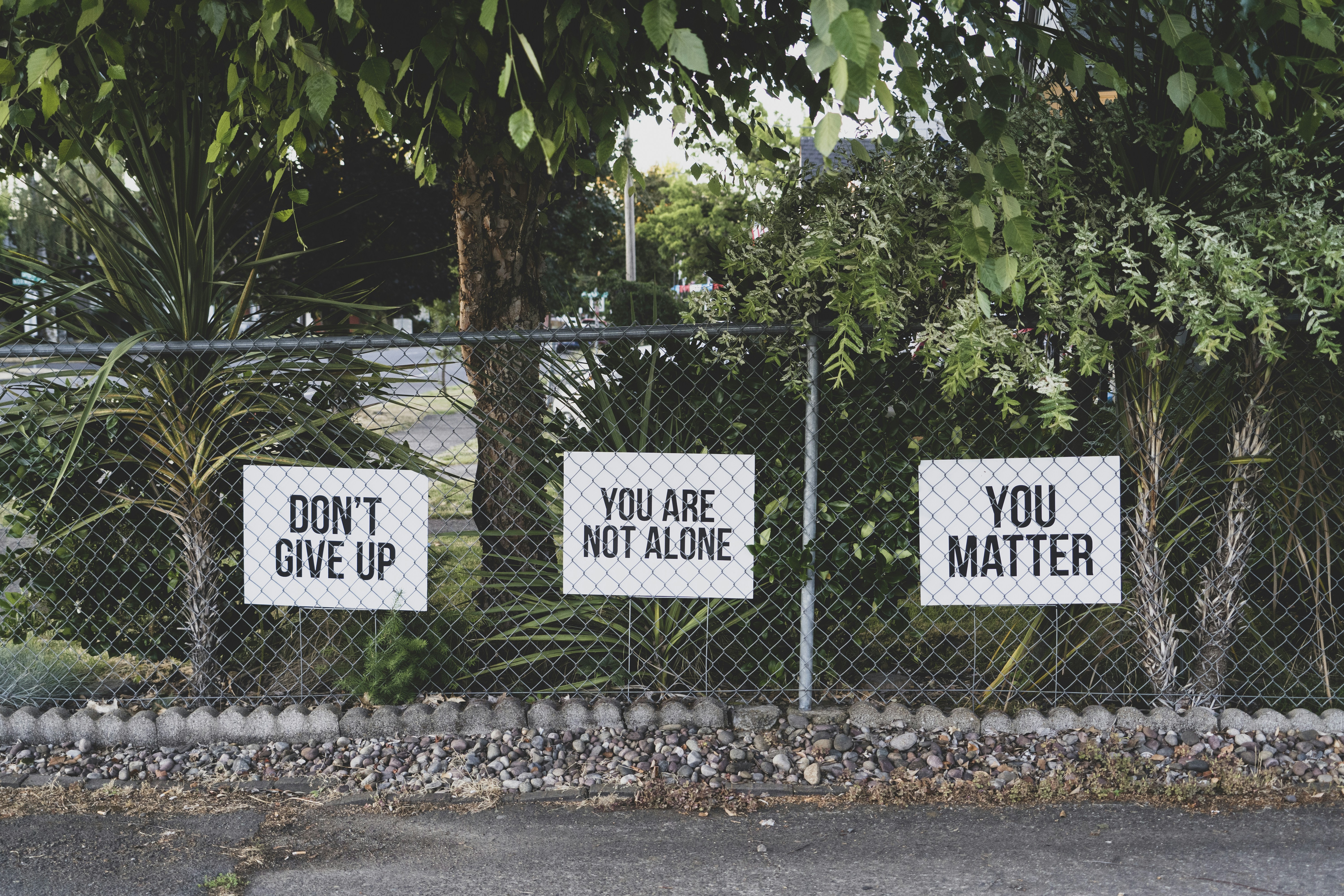 Don't Give Up  You Matter You are not alone You are loved